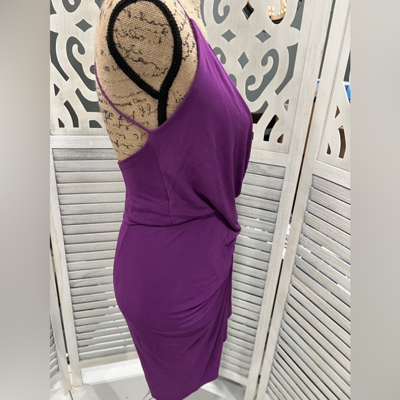 Haute Hippie Purple Kaitlin Silhouette Wrap Front Dress - Picture 8 of 13